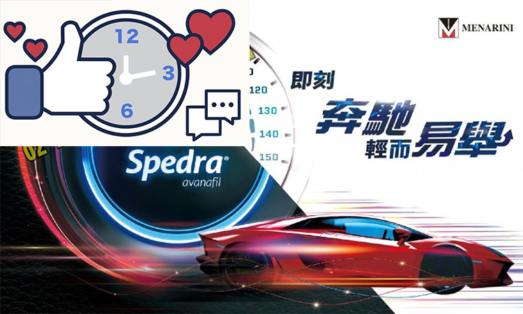 賽倍達（Spedra）簡介